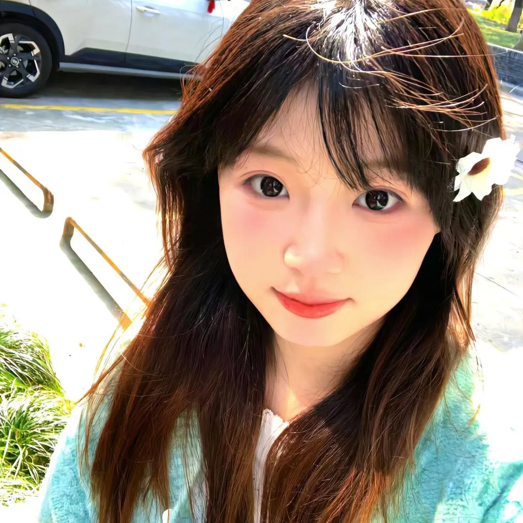 366日海报