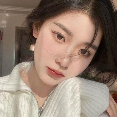 渡渡鸟海报