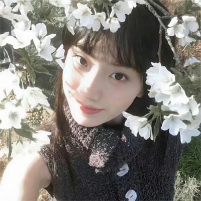 南国艳游海报